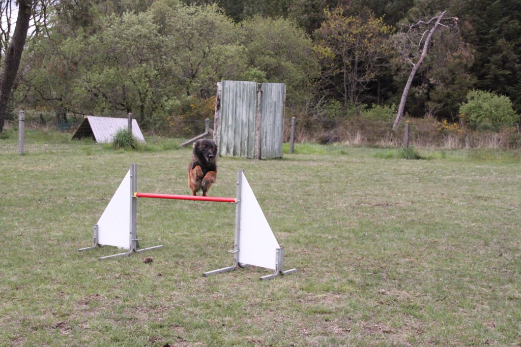 souvenirs-2014 JPG (125)