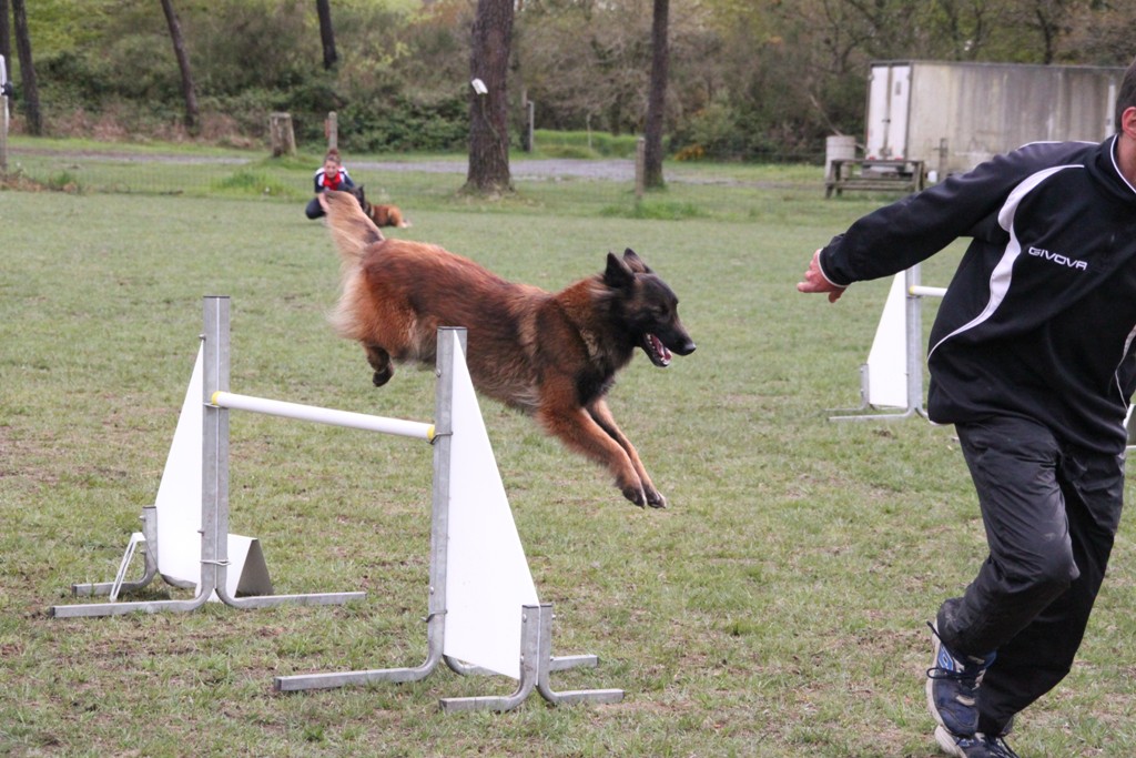 souvenirs-2014 JPG (126)