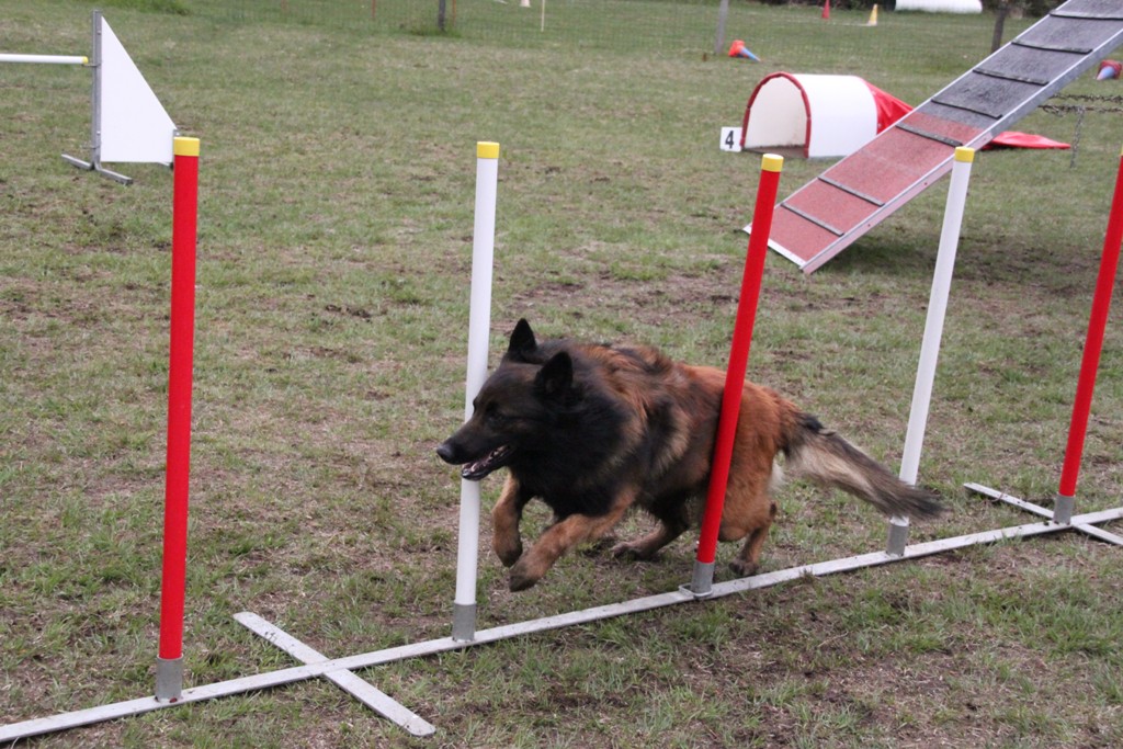 souvenirs-2014 JPG (129)