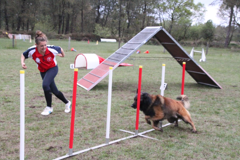 souvenirs-2014 JPG (130)