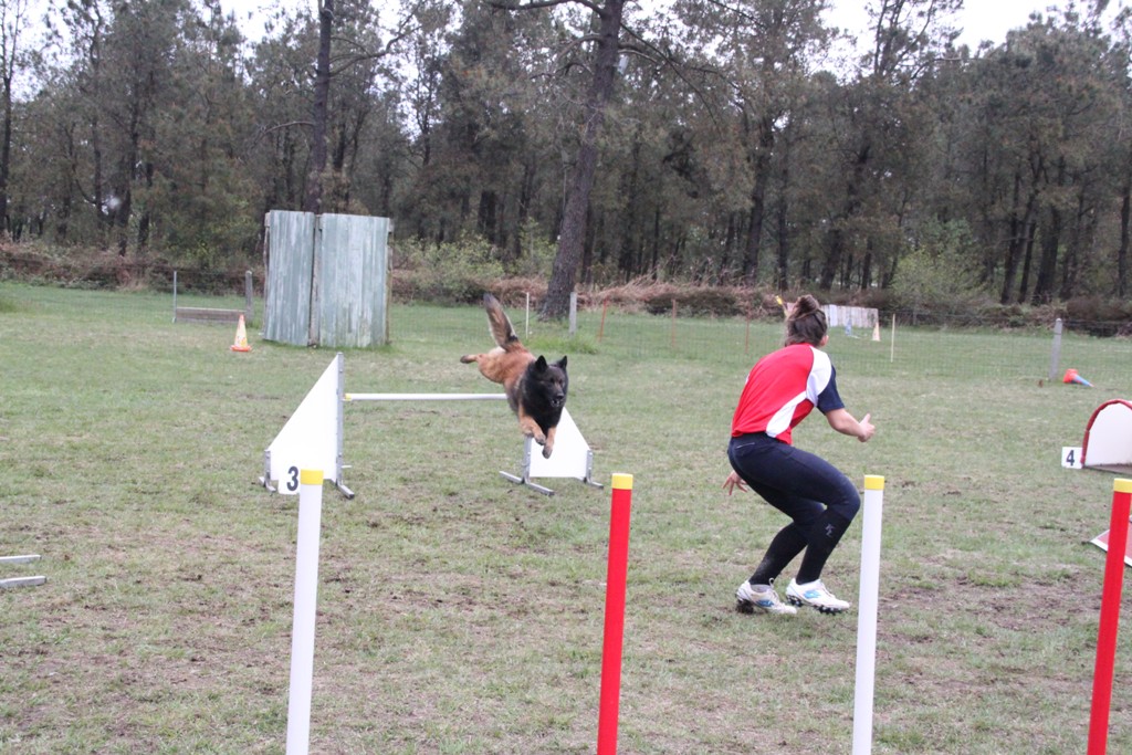 souvenirs-2014 JPG (131)