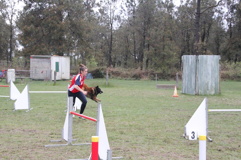 souvenirs-2014 JPG (132)