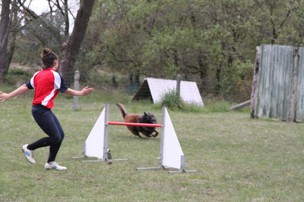 souvenirs-2014 JPG (135)