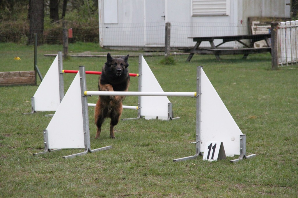 souvenirs-2014 JPG (136)