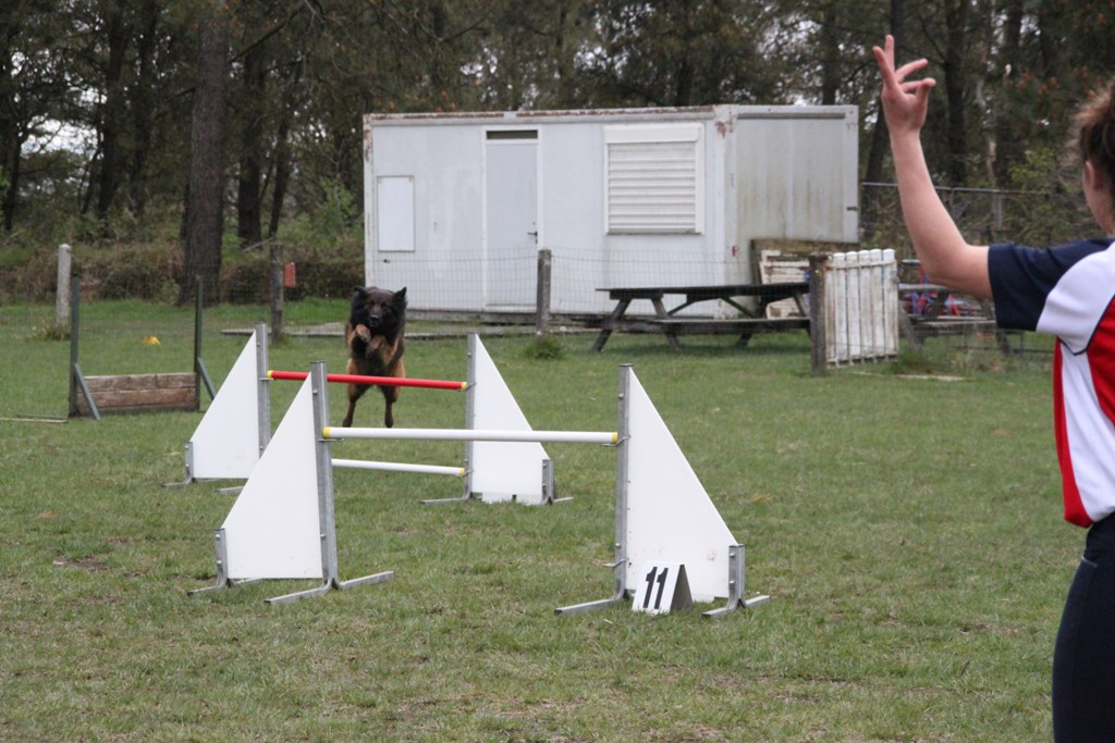 souvenirs-2014 JPG (137)