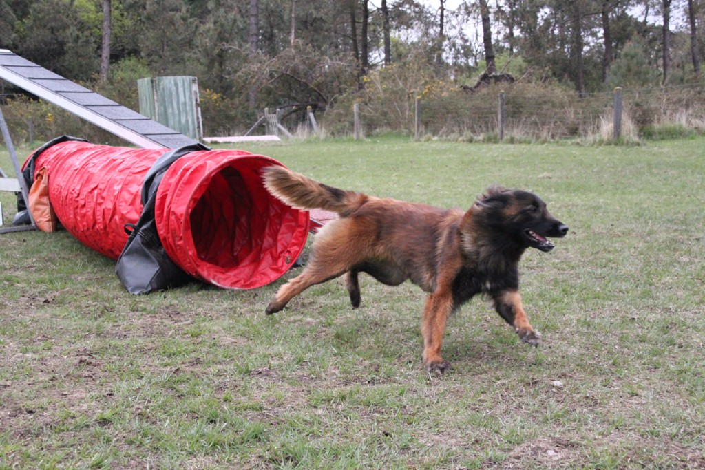 souvenirs-2014 JPG (138)