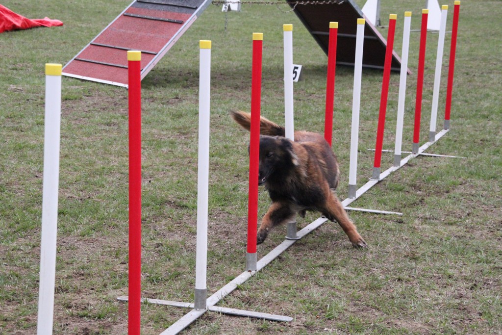 souvenirs-2014 JPG (139)