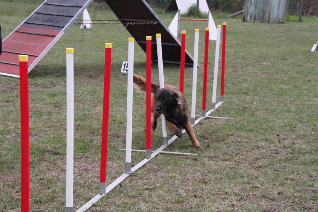 souvenirs-2014 JPG (140)