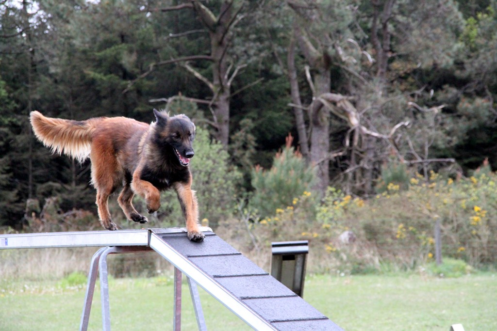 souvenirs-2014 JPG (147)