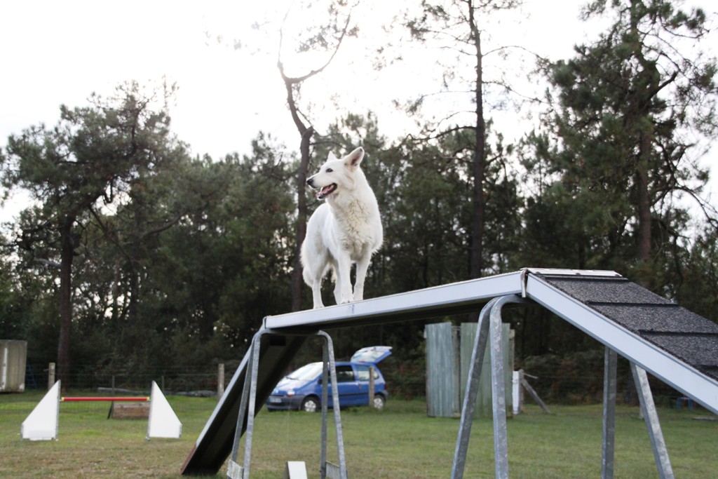 souvenirs-2014 JPG (151)