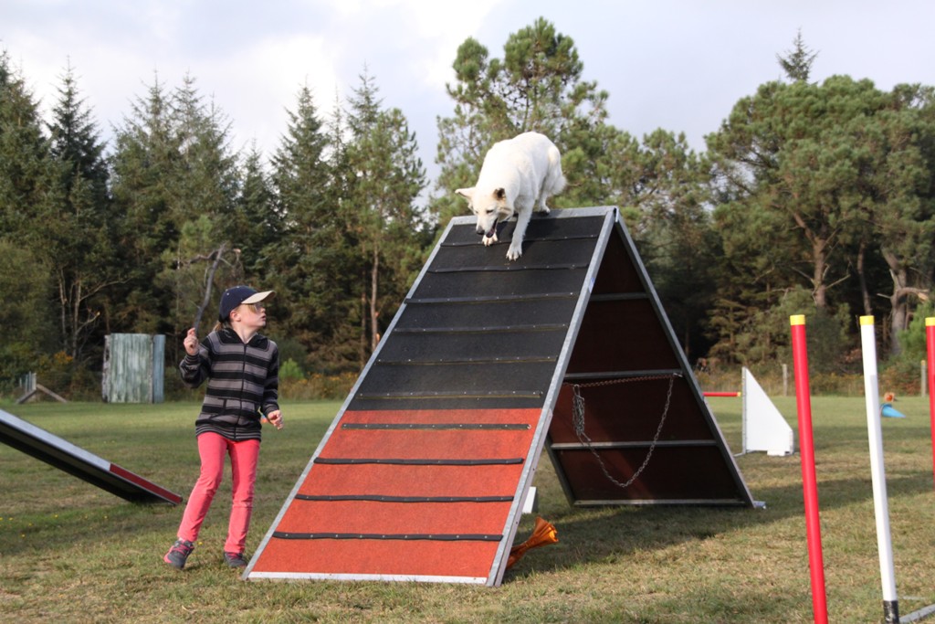 souvenirs-2014 JPG (153)