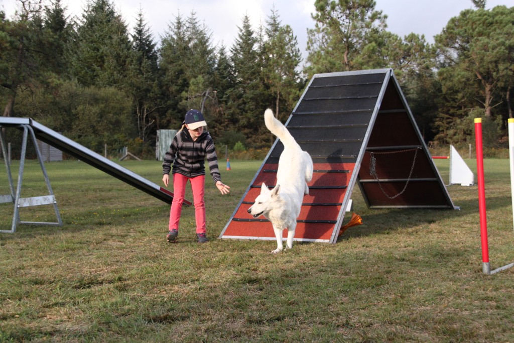 souvenirs-2014 JPG (154)