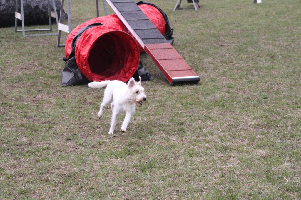 souvenirs-2014 JPG (16)