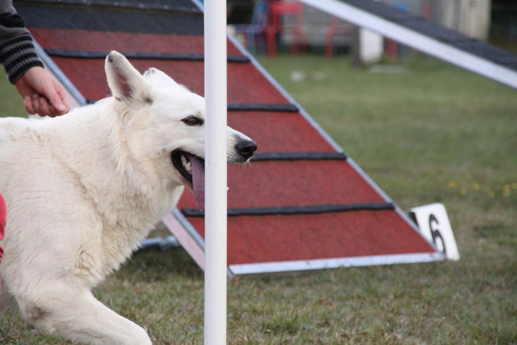 souvenirs-2014 JPG (162)