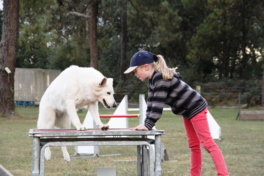 souvenirs-2014 JPG (164)