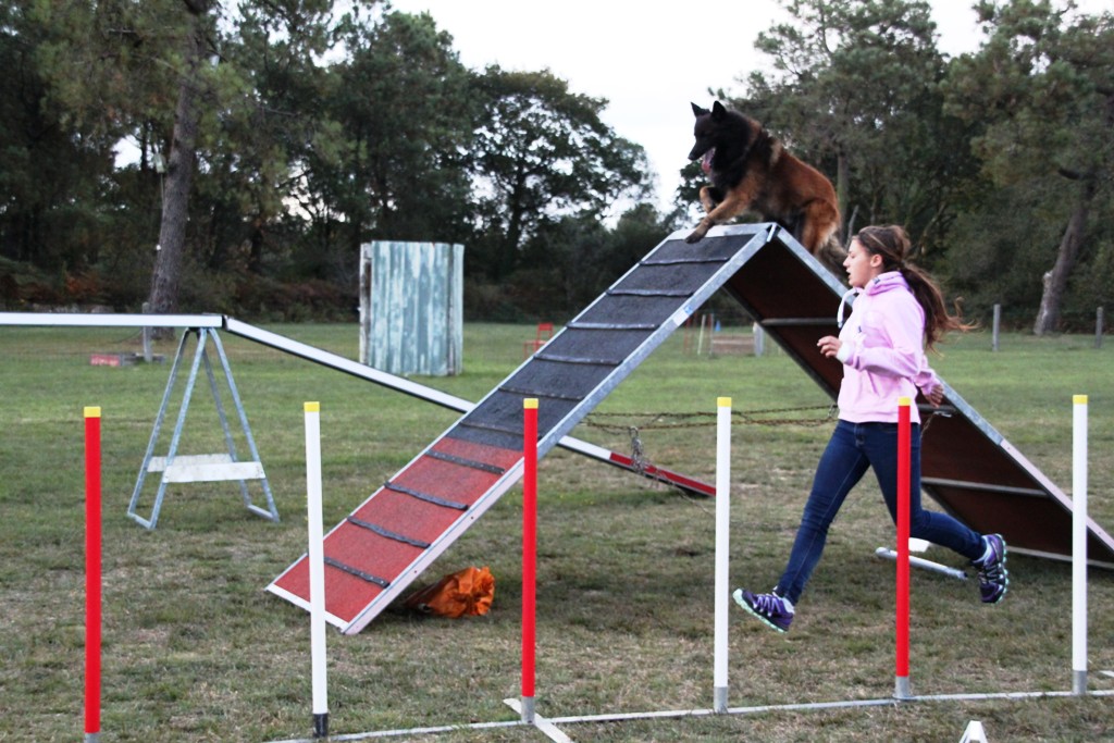 souvenirs-2014 JPG (167)