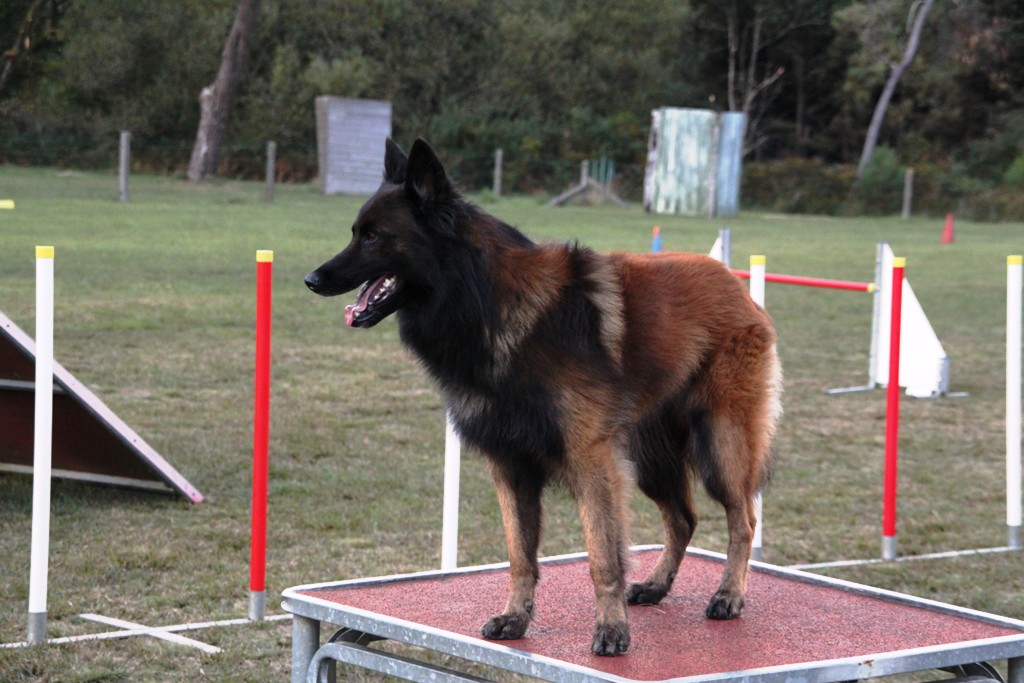 souvenirs-2014 JPG (169)