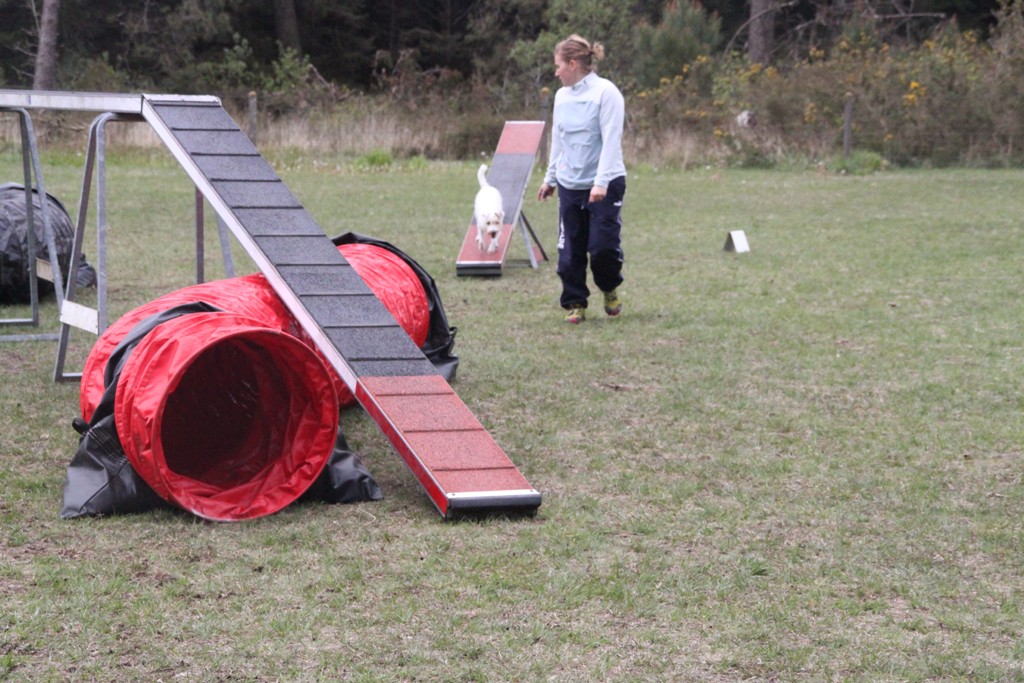 souvenirs-2014 JPG (17)