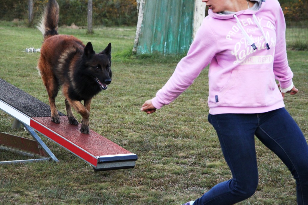 souvenirs-2014 JPG (170)