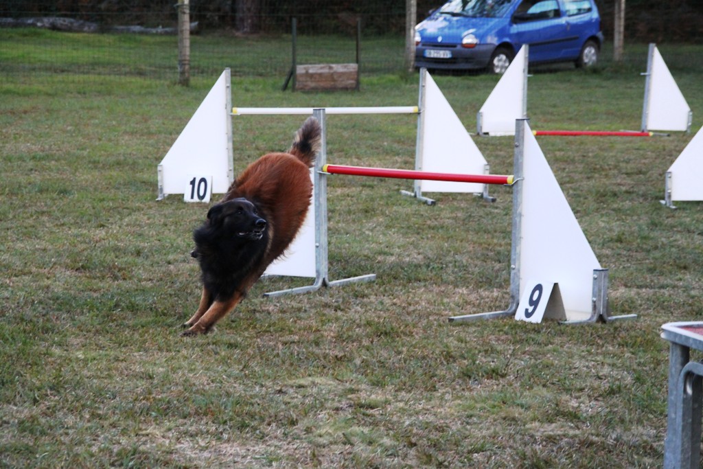 souvenirs-2014 JPG (171)