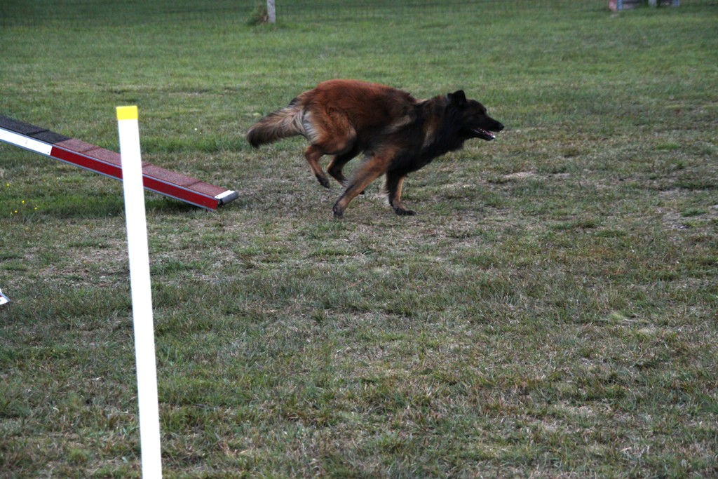 souvenirs-2014 JPG (172)