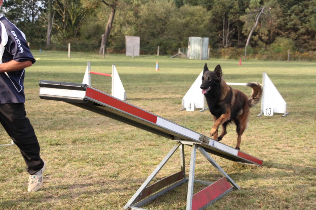 souvenirs-2014 JPG (177)