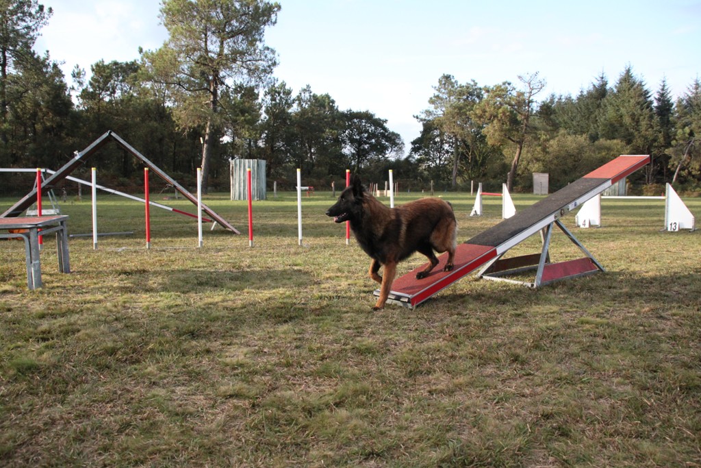 souvenirs-2014 JPG (179)