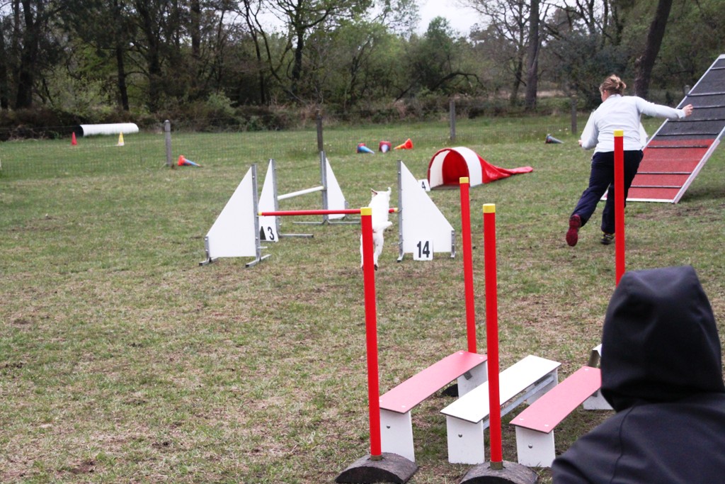 souvenirs-2014 JPG (18)