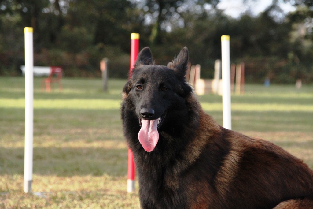 souvenirs-2014 JPG (180)