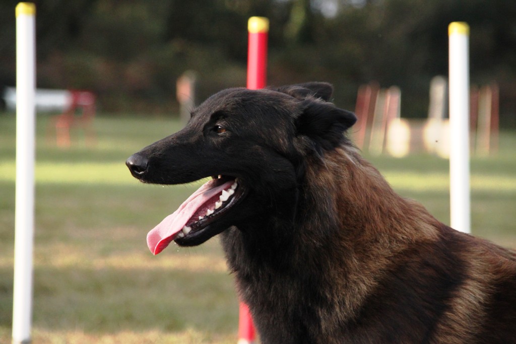 souvenirs-2014 JPG (181)