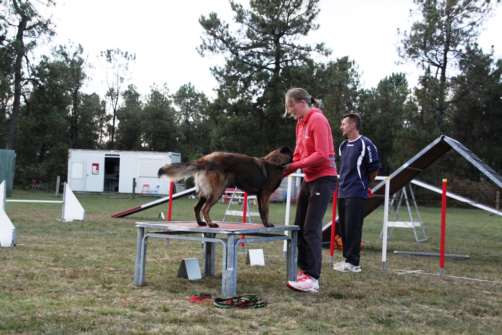 souvenirs-2014 JPG (182)