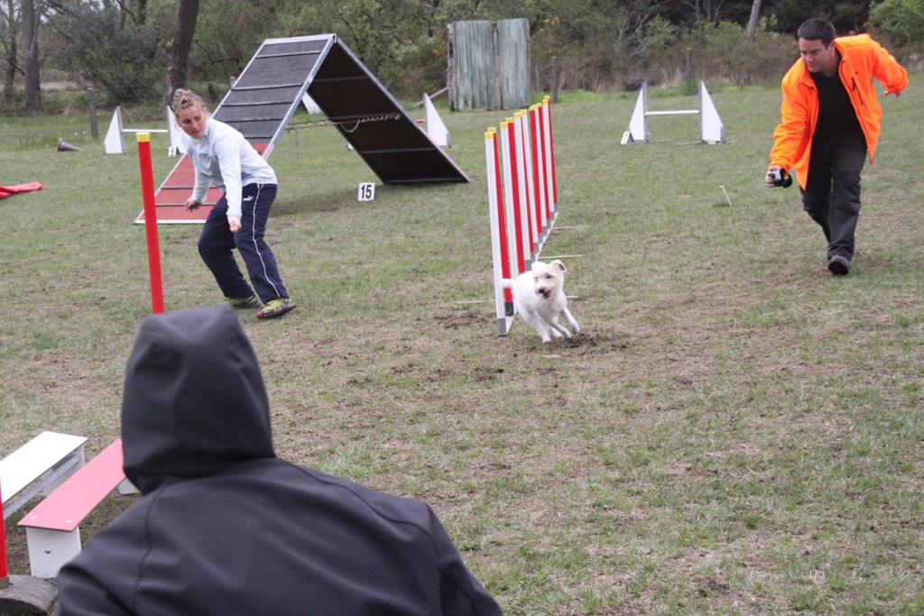 souvenirs-2014 JPG (19)