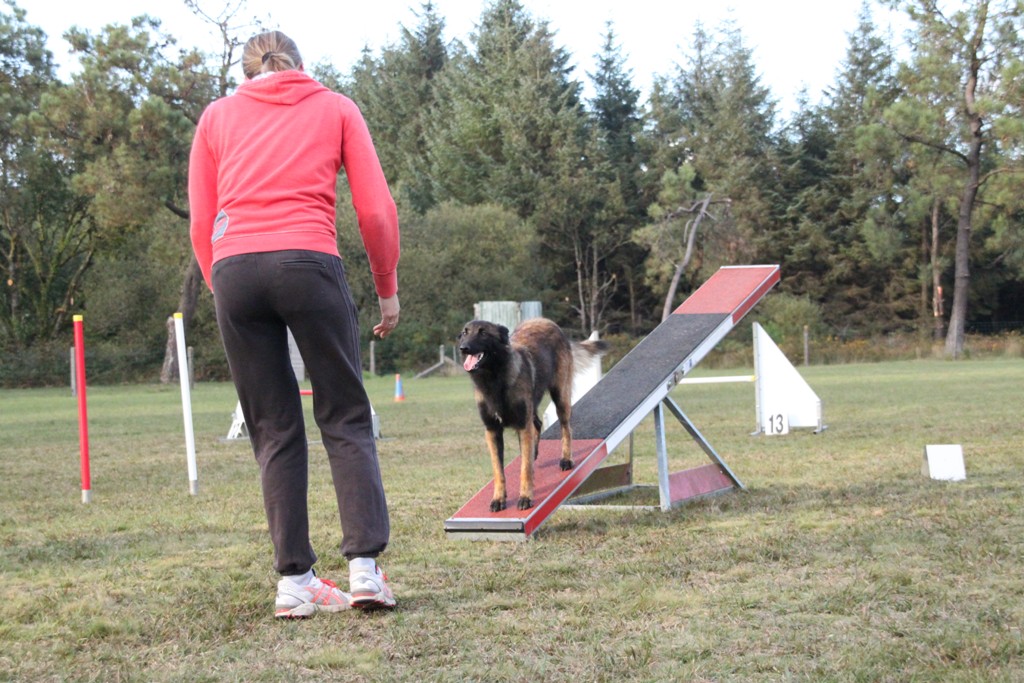 souvenirs-2014 JPG (193)