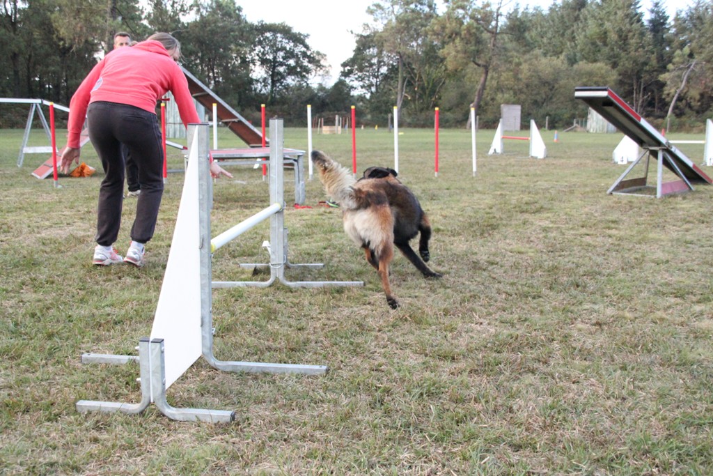 souvenirs-2014 JPG (195)