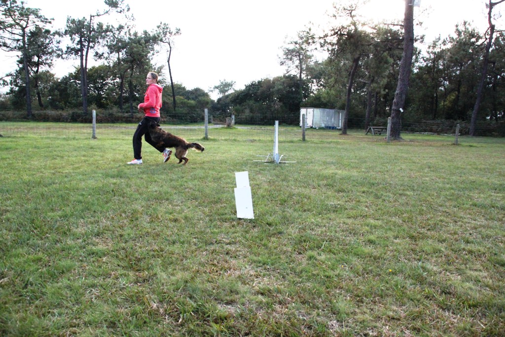 souvenirs-2014 JPG (196)