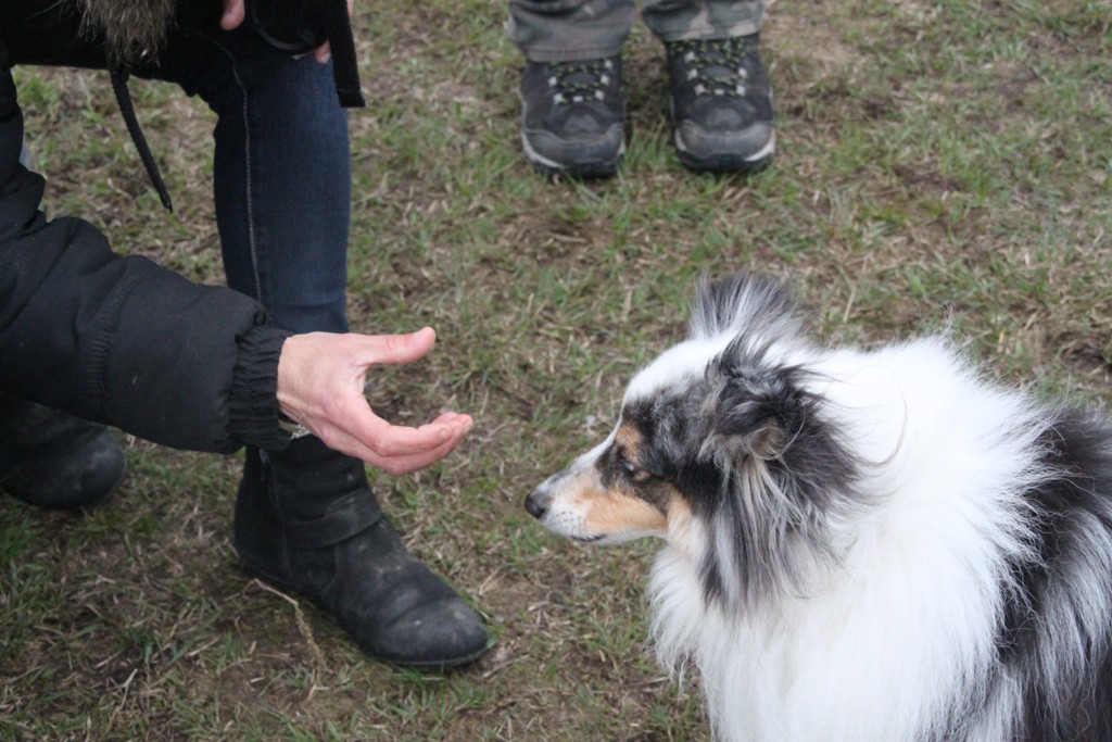 souvenirs-2014 JPG (2)