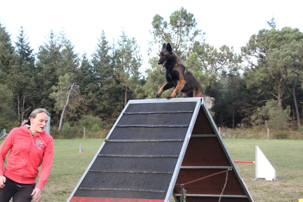 souvenirs-2014 JPG (201)