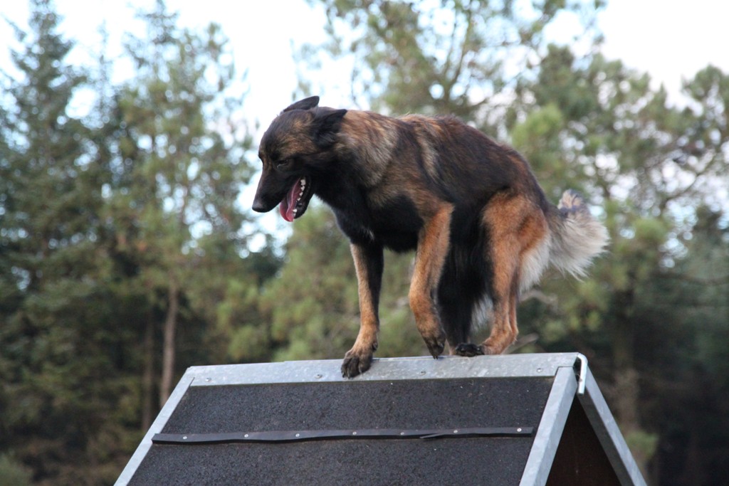 souvenirs-2014 JPG (202)