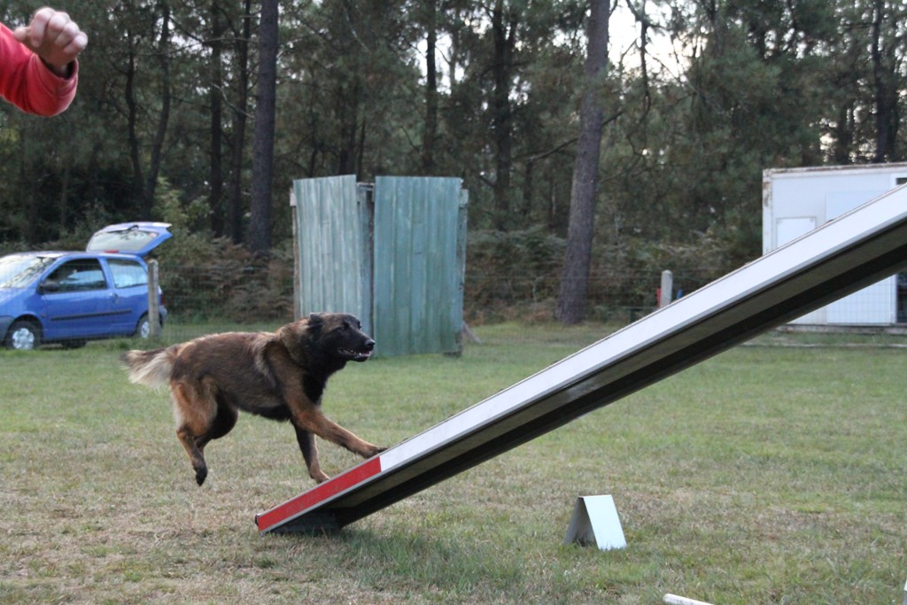 souvenirs-2014 JPG (204)