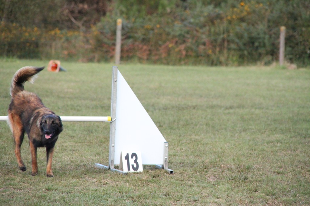 souvenirs-2014 JPG (205)