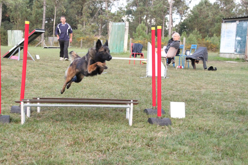 souvenirs-2014 JPG (209)