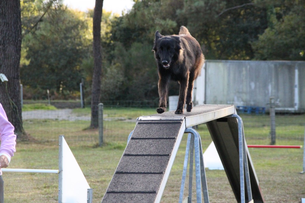 souvenirs-2014 JPG (211)