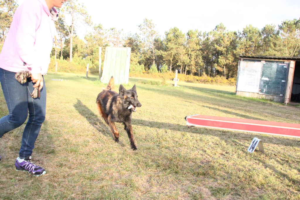 souvenirs-2014 JPG (214)