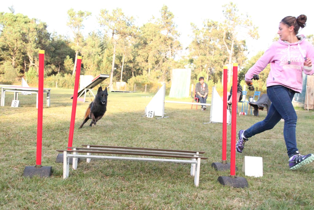 souvenirs-2014 JPG (218)