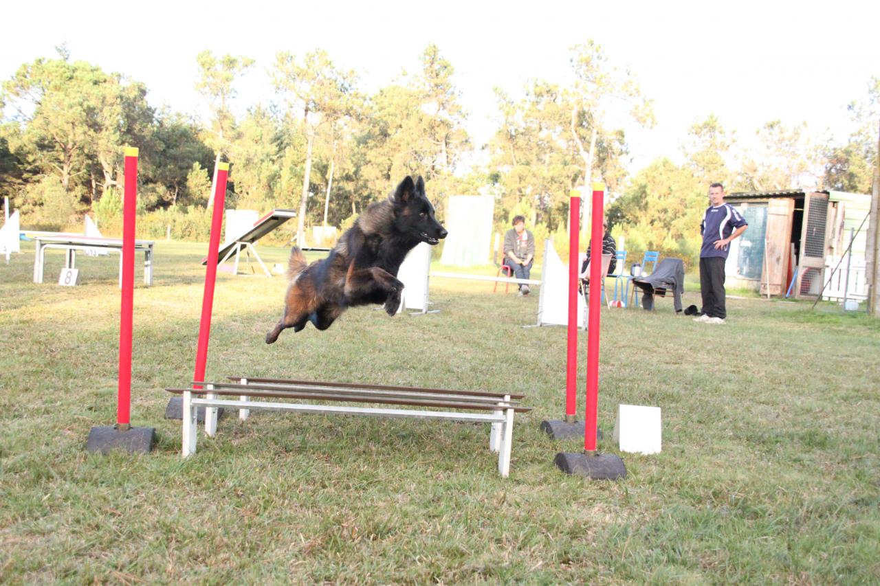 souvenirs-2014 JPG (219)