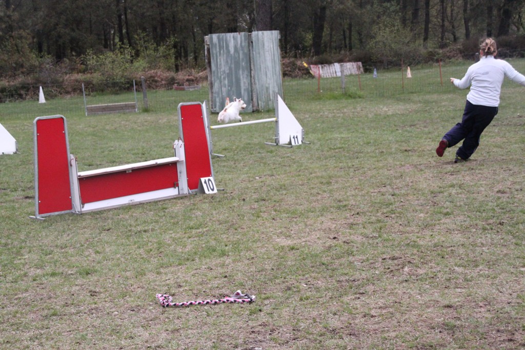 souvenirs-2014 JPG (22)