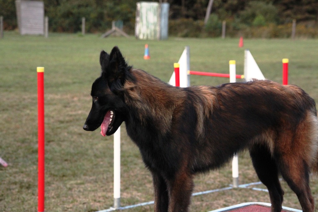 souvenirs-2014 JPG (220)