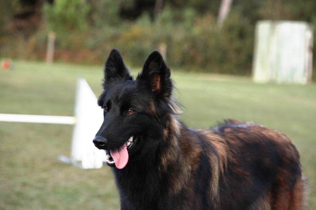 souvenirs-2014 JPG (221)