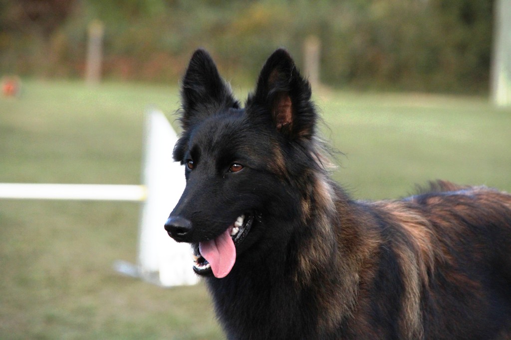 souvenirs-2014 JPG (222)