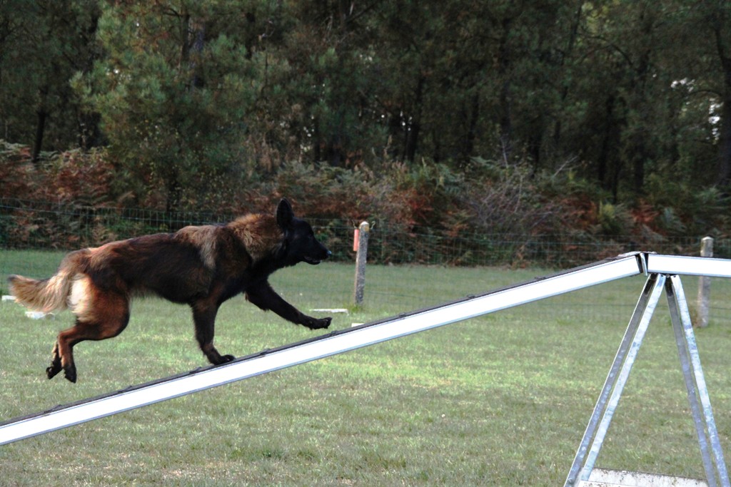 souvenirs-2014 JPG (223)